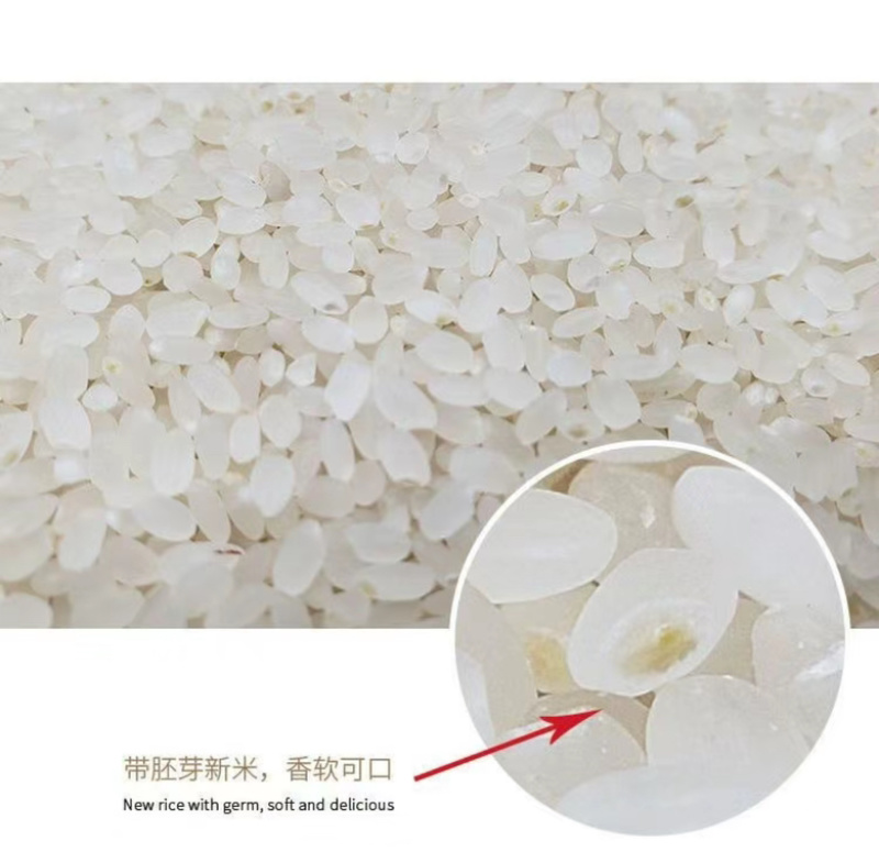 延边韩香口大米/香米/一件代发/批发/大量供应/欢迎电联