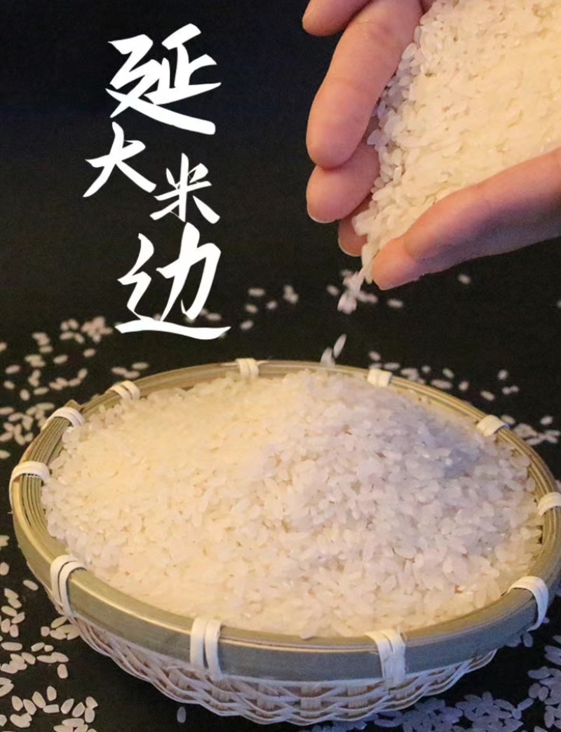 延边韩香口大米/香米/一件代发/批发/大量供应/欢迎电联