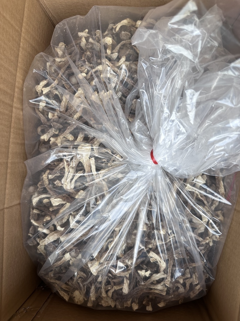鹿茸菇源头厂家，种植工厂直销