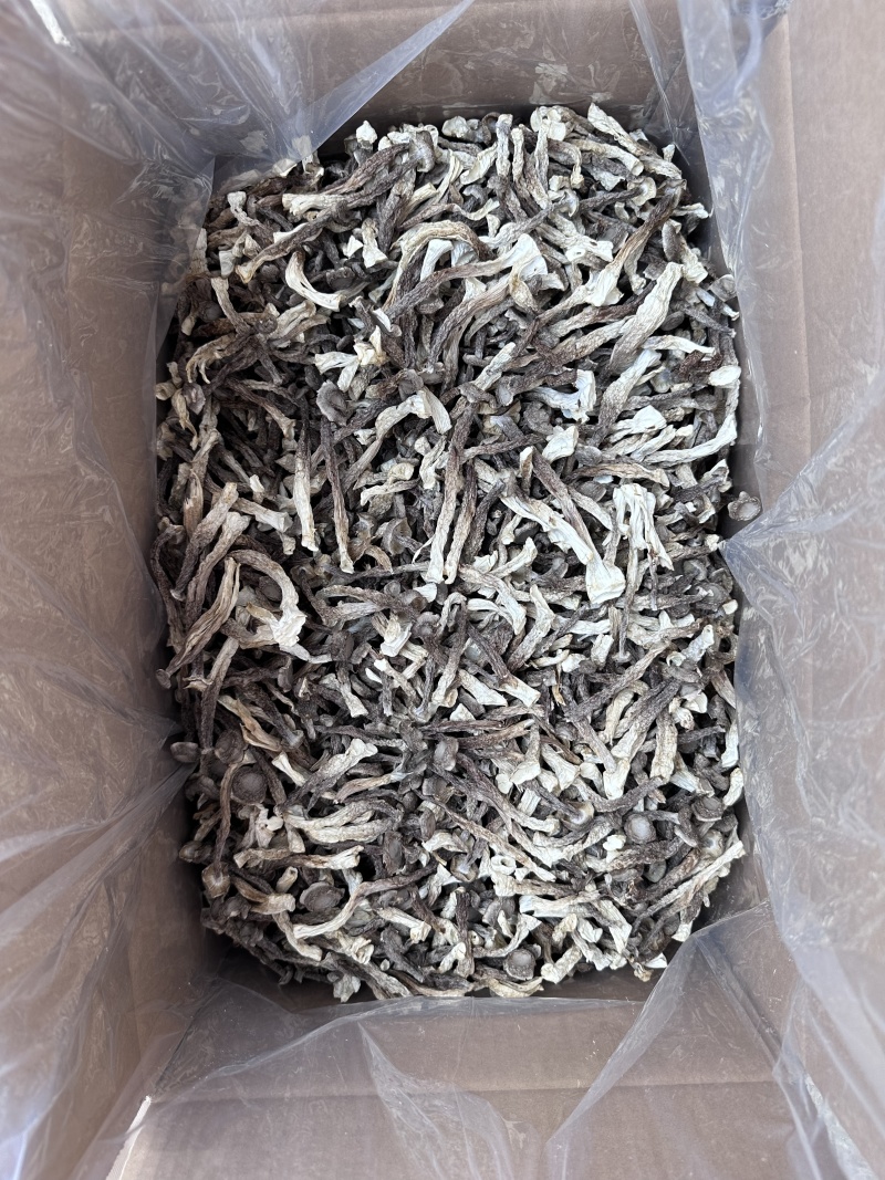 鹿茸菇源头厂家，种植工厂直销