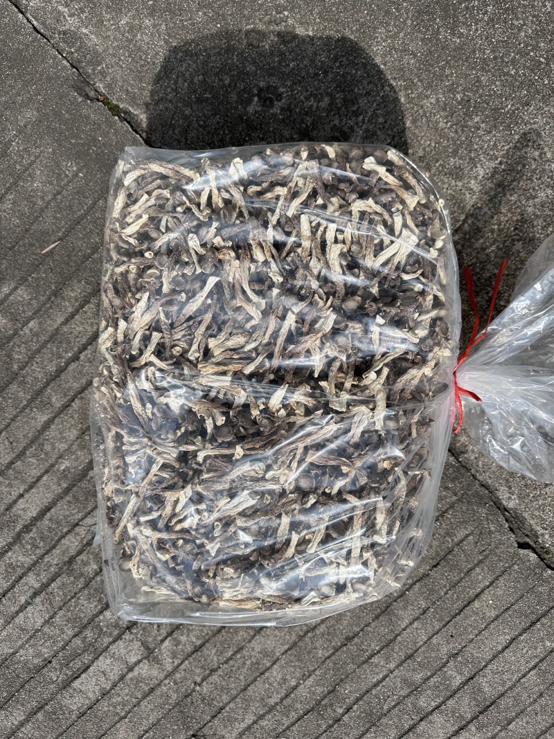 鹿茸菇源头厂家，种植工厂直销