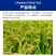 甲米-6%春雷霉素水稻大白菜细菌性病害杀菌剂