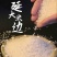 延边韩香口大米/香米/一件代发/批发/大量供应/欢迎电联
