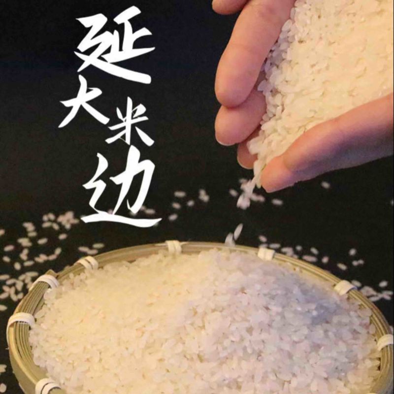 延边韩香口大米/香米/一件代发/批发/大量供应/欢迎电联