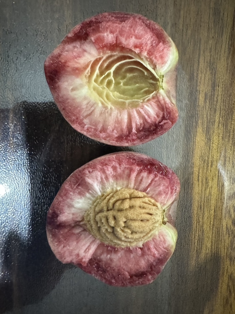 河南血桃朱砂红现货头茬采摘中大果园直发对接电商代发