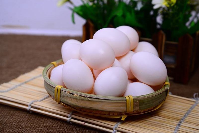 自家散养肉鸽蛋