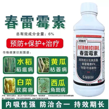 邦赛克-6%春雷霉素细菌性病害专用杀菌剂