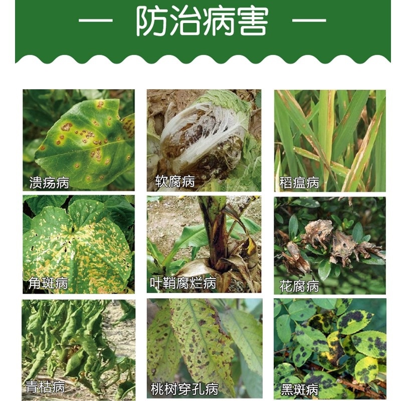 邦赛克-6%春雷霉素细菌性病害专用杀菌剂