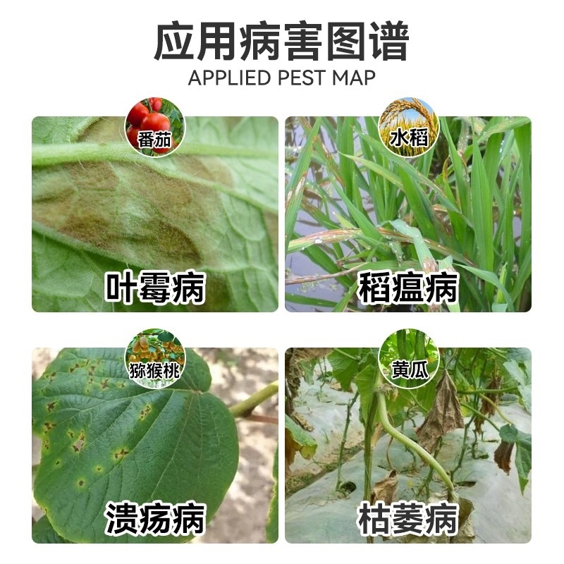 汉锐-6%春雷霉素细菌性病害专用杀菌剂农药