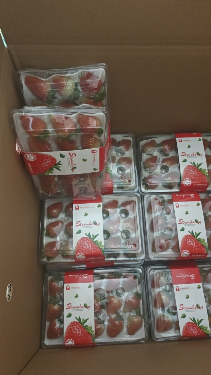 优质蒙特瑞商用草莓水晶盒礼品盒亮盒胶盒精品包装
