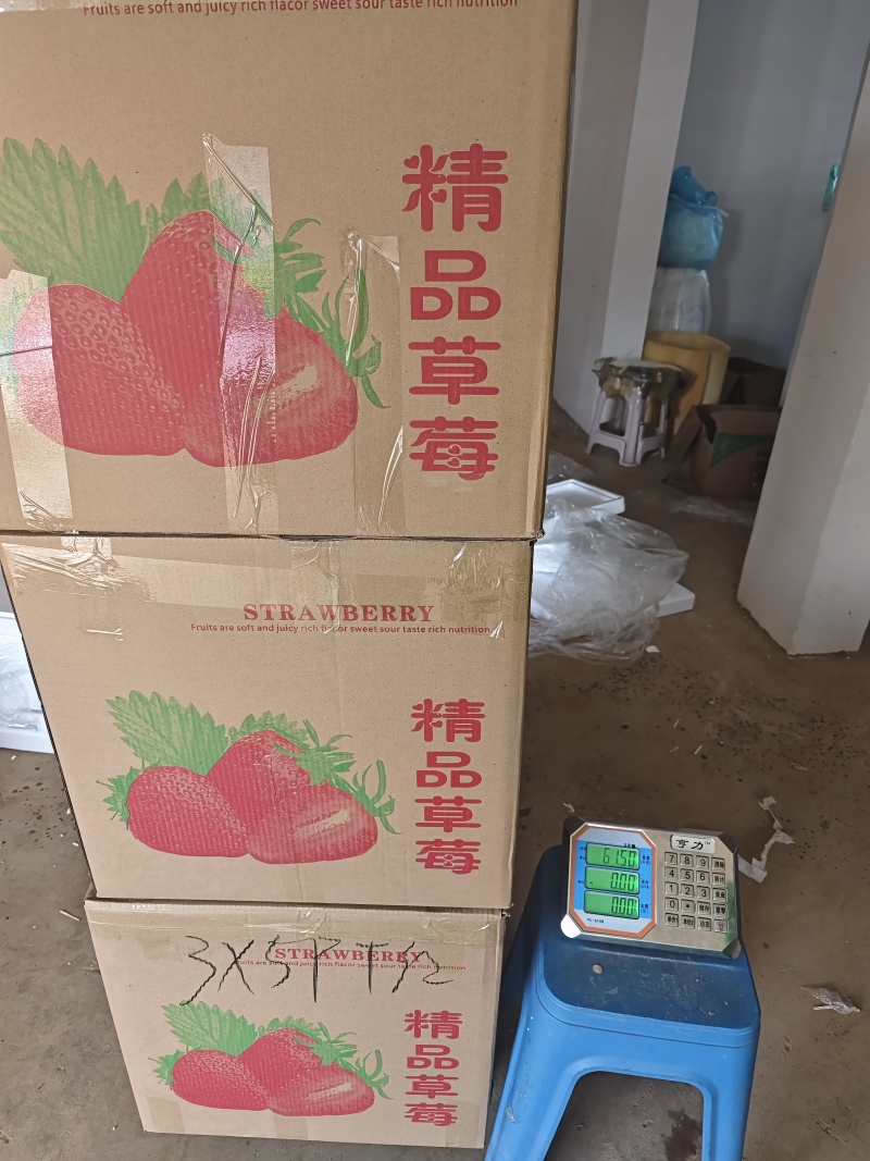优质蒙特瑞商用草莓水晶盒礼品盒亮盒胶盒精品包装