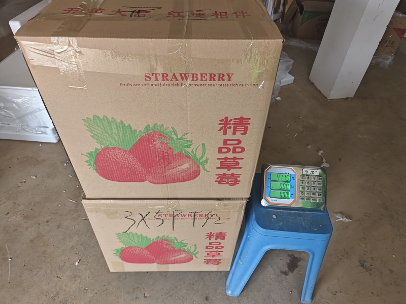 优质蒙特瑞商用草莓水晶盒礼品盒亮盒胶盒精品包装
