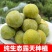 新品种蜂糖李，早熟蜂糖，端午节成熟。
