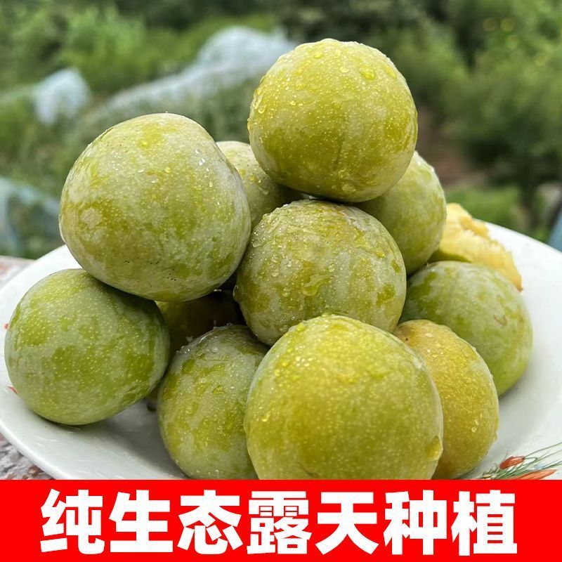 新品种蜂糖李，早熟蜂糖，端午节成熟。