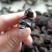 大别山野生九蒸九晒黄精。精选年份久远黄精。***古法炮制