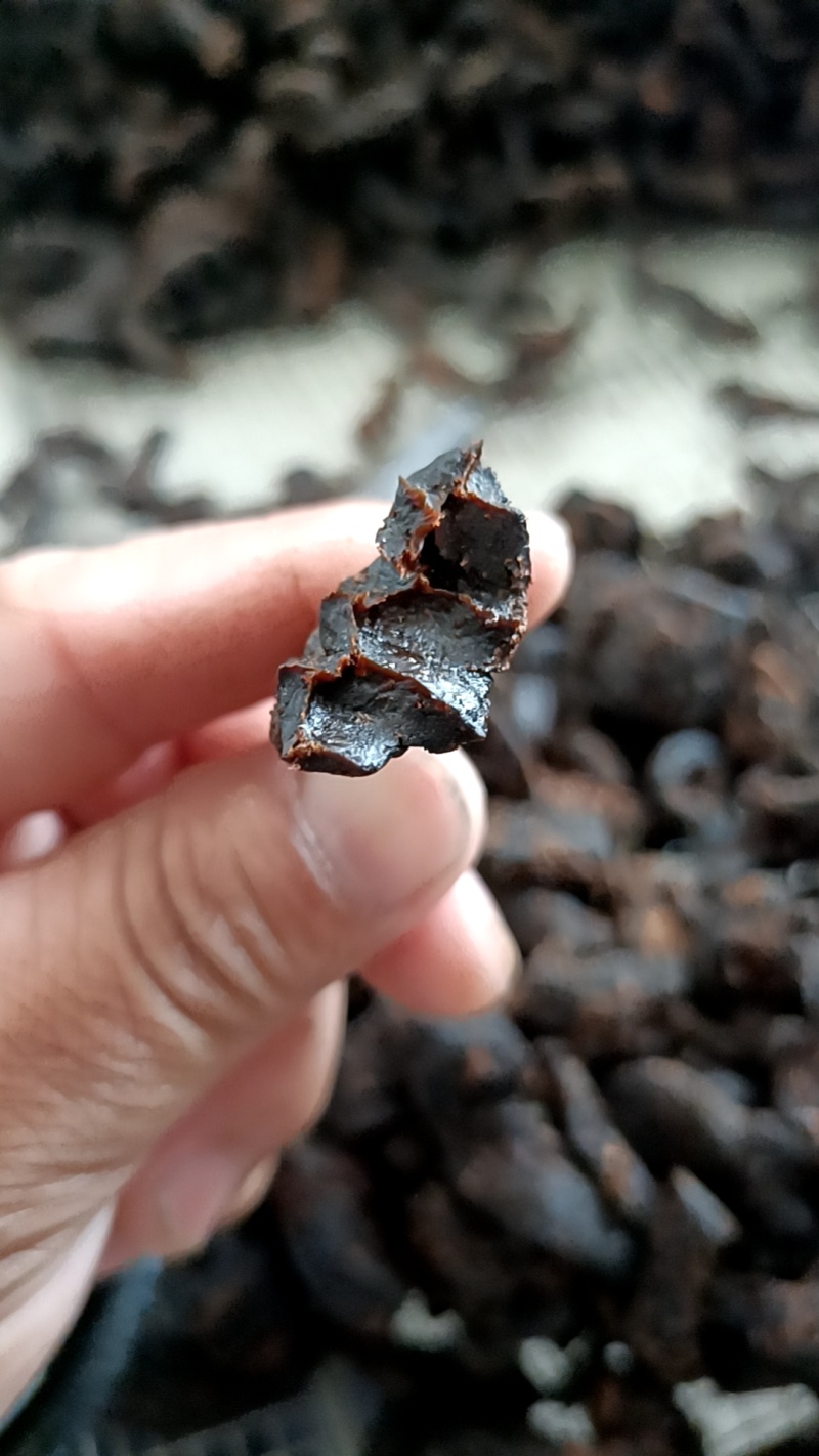 大别山野生九蒸九晒黄精。精选年份久远黄精。***古法炮制