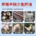 兽用强效鱼肝油母羊多羔鸡鸭鹅多仔补钙防软瘫增蛋猪牛羊拉骨