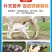 兽用强效鱼肝油母羊多羔鸡鸭鹅多仔补钙防软瘫增蛋猪牛羊拉骨