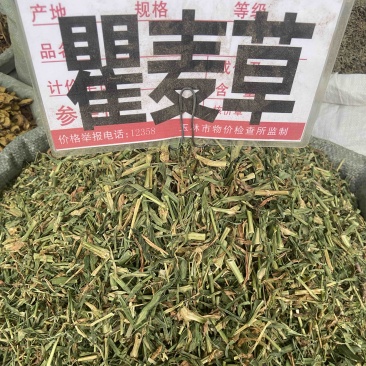 瞿麦草