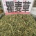 瞿麦草