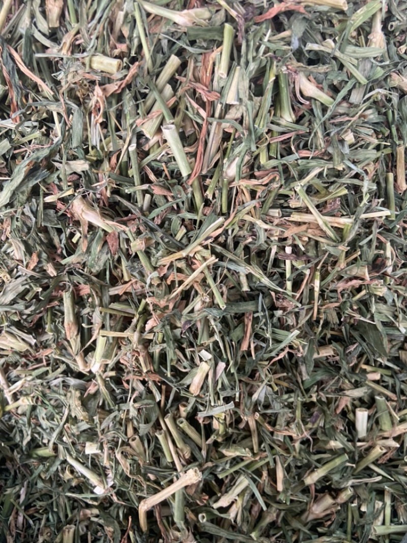 瞿麦草