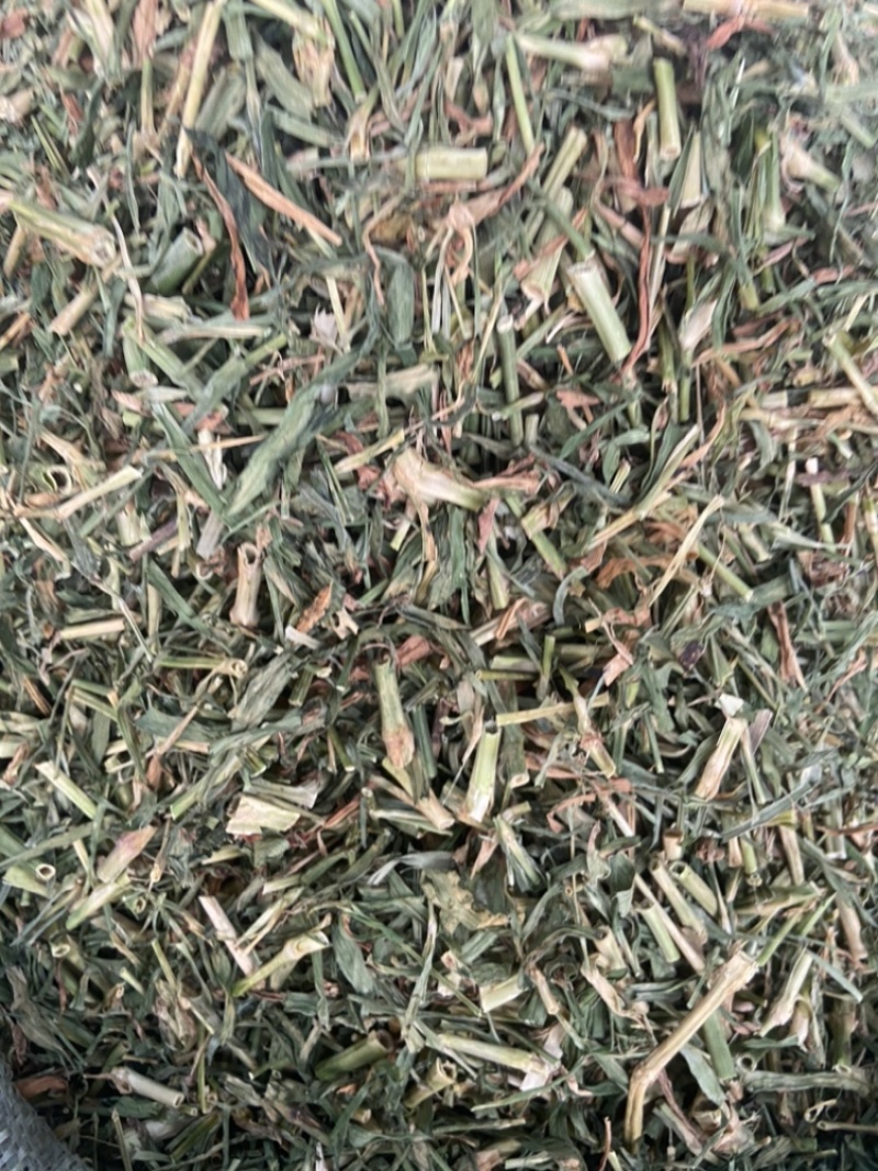 瞿麦草