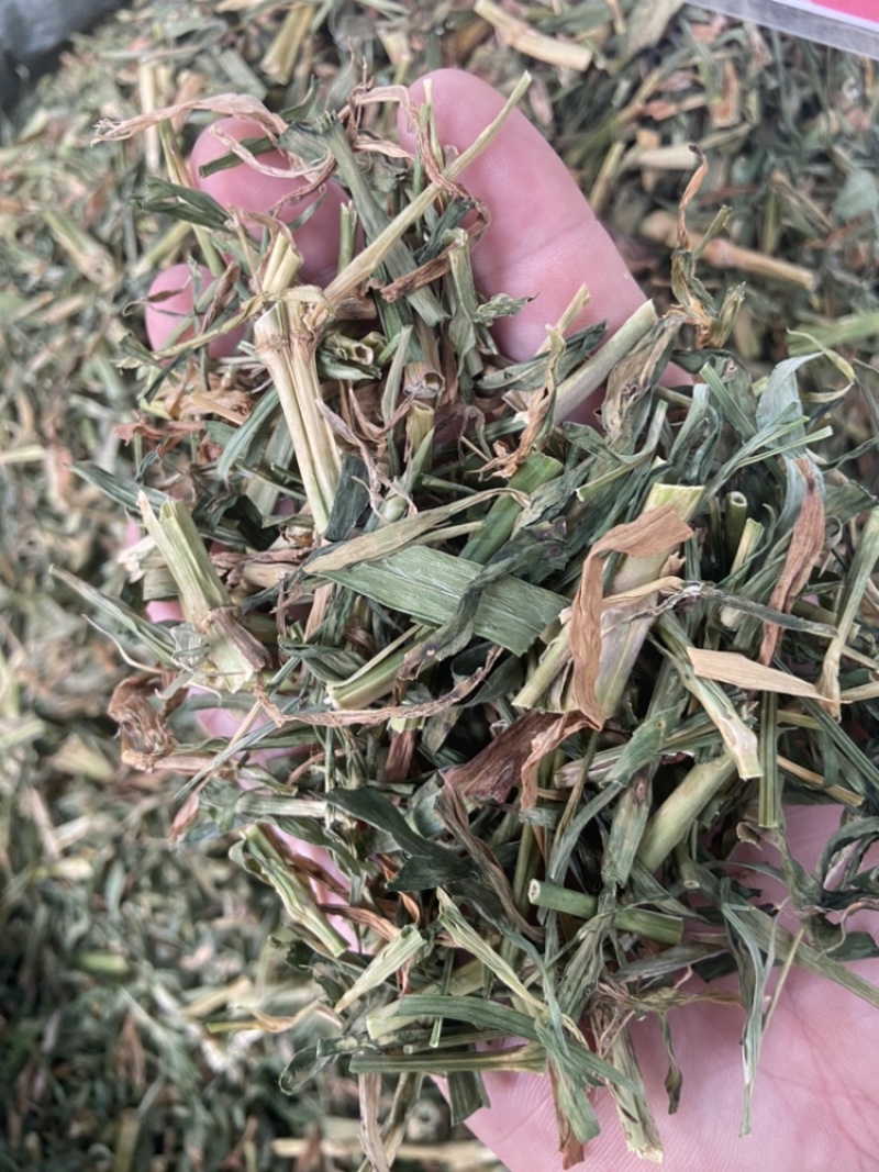 瞿麦草