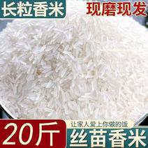 20斤长粒香米新米晚稻丝苗米煲仔饭蛋炒饭猫牙米煮饭10斤