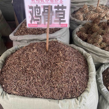 鸡骨草