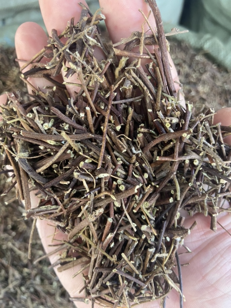 鸡骨草