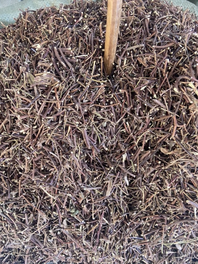 鸡骨草