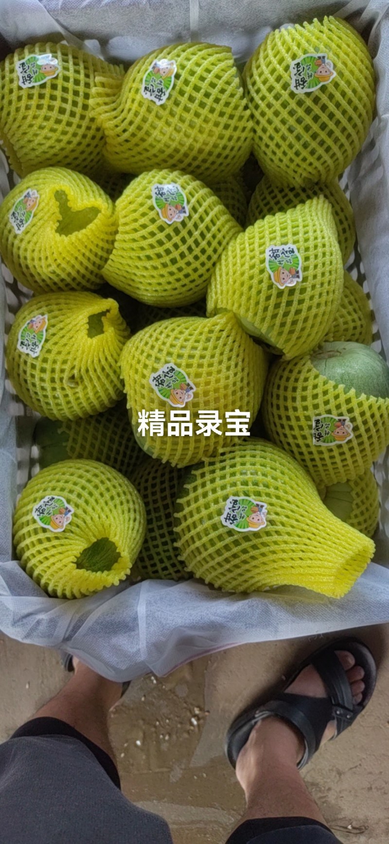 湖北绿宝