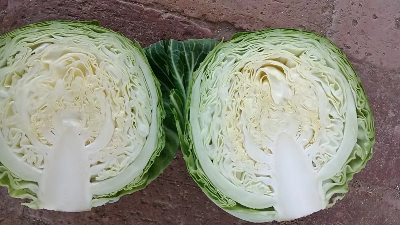 圆包菜切丝处理过程