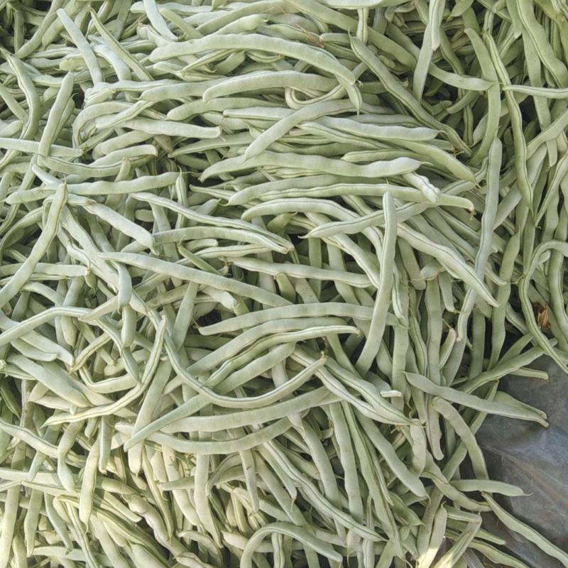 白条豆角，条长！肉厚口感好！种植面积广大！货源充足