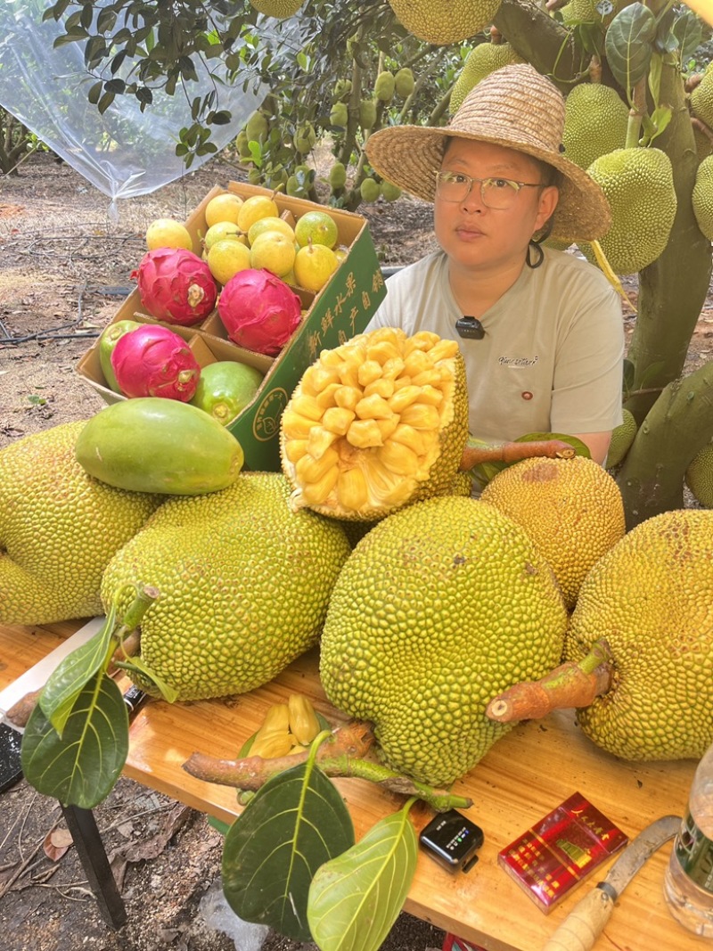 广东无胶菠萝蜜，吃起来香味十足嘴手都留有郁香，营养丰富