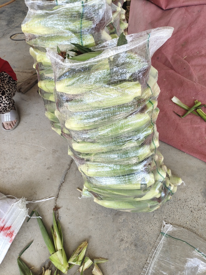 精品粘玉米
