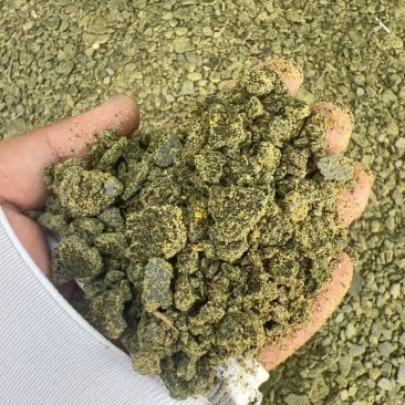 青饼俄罗斯菜籽饼一手货源，质量上乘，天津提货