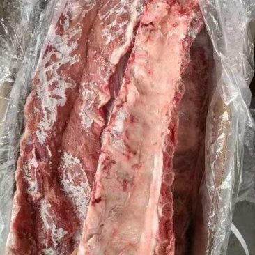 多肉龙骨猪龙骨猪脊骨龙骨段脊骨块猪排骨