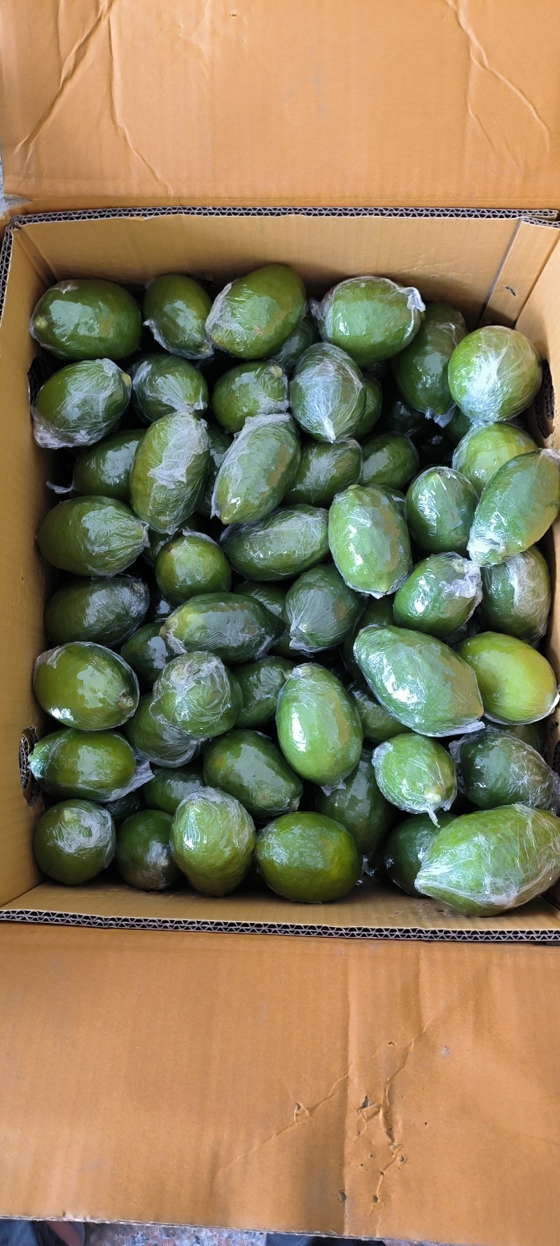 广东无籽香水柠檬