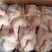 一级三黄鸡