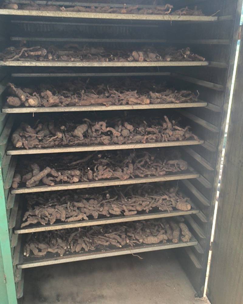 江西本地粉防己大量货源规格齐全欢迎电话联系