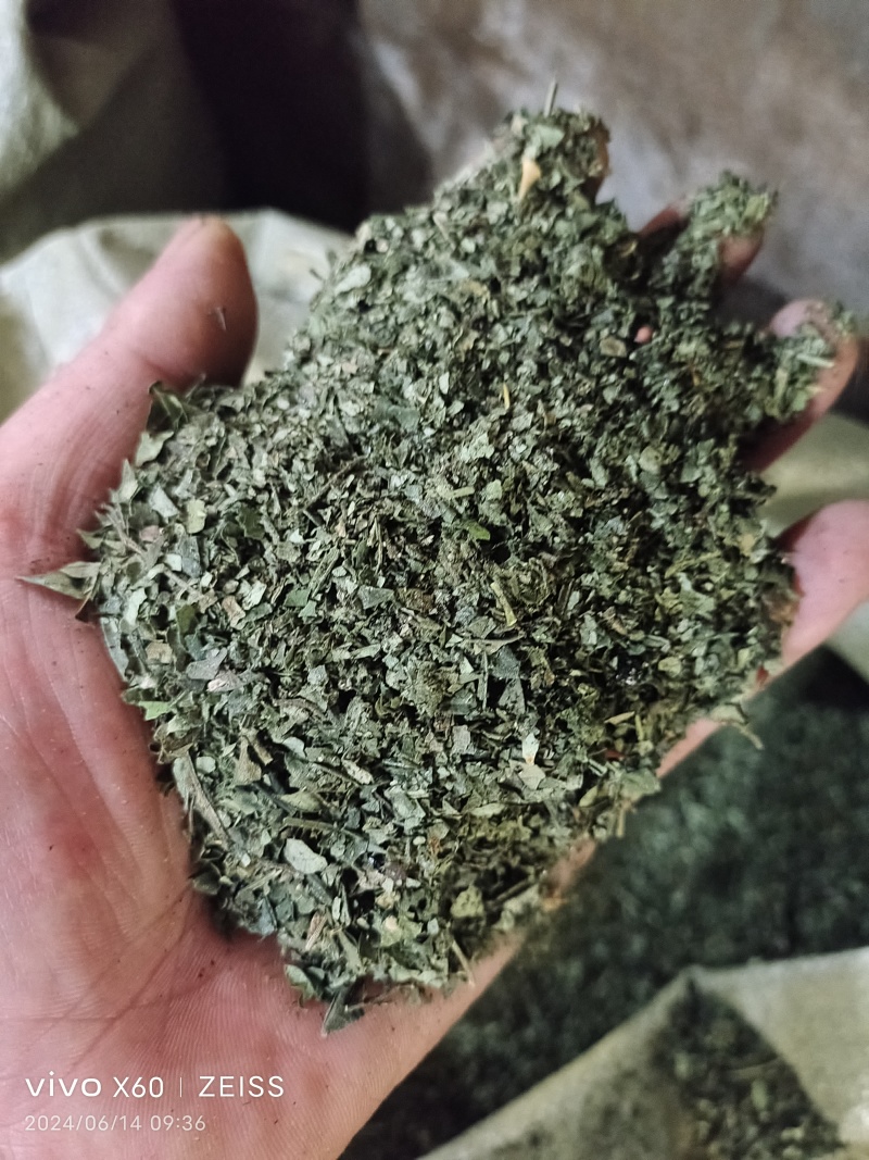 花椒叶子基地直发货源充足质美价优支持零售/批发电联