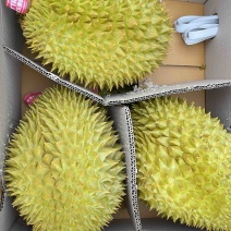 金枕