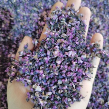 中药材紫荆花紫金花茶洋紫荆玲甲花紫荆花干花山紫荆