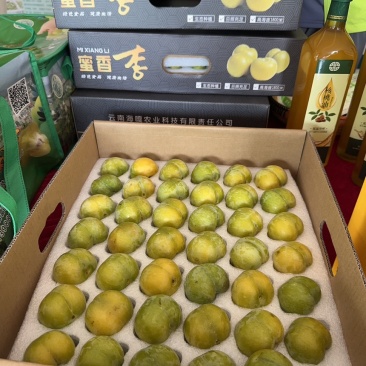蜂糖李蜜香李产地直发量大从优诚信合作欢迎来电
