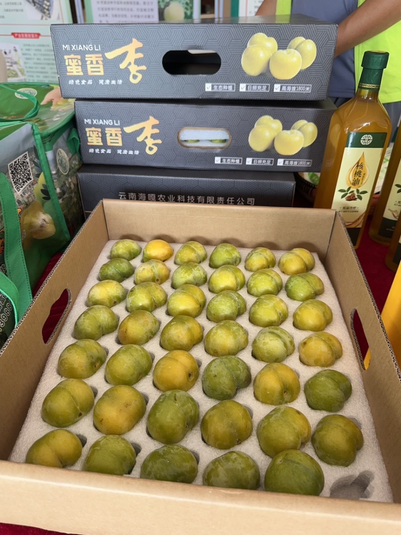 蜂糖李蜜香李产地直发量大从优诚信合作欢迎来电