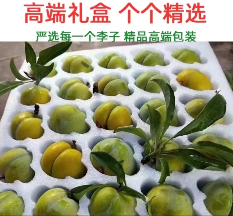 蜂糖李蜜香李产地直发量大从优诚信合作欢迎来电