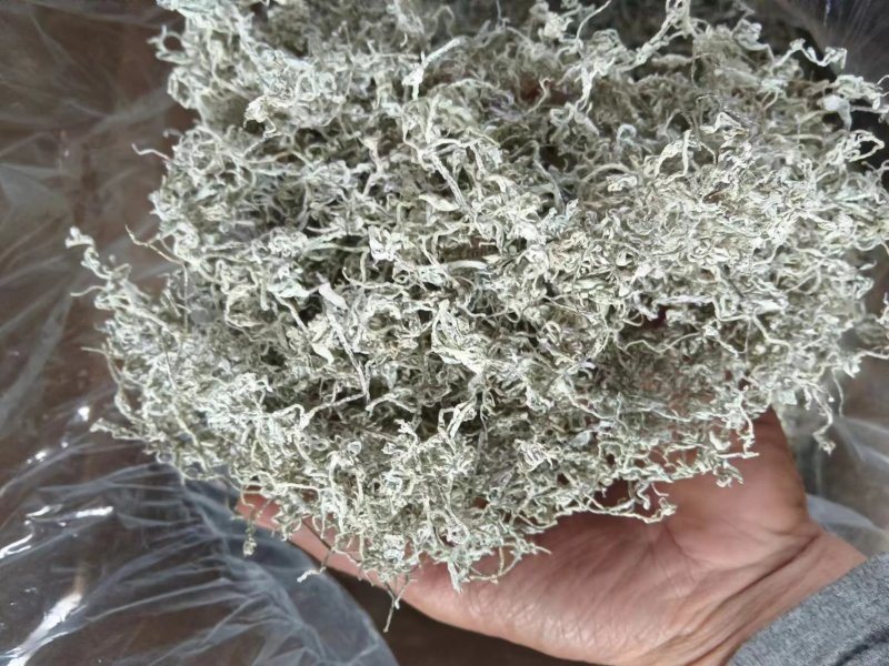 湖南湘西牙尖藤茶又叫龙须藤茶，湖南湘西自产自销批发