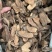 簕茨菇