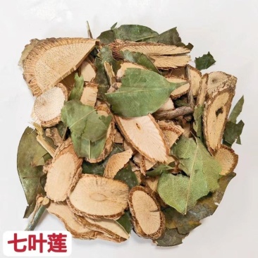 七叶莲鹅掌藤中药材七叶莲七叶藤汉桃叶正宗七叶莲